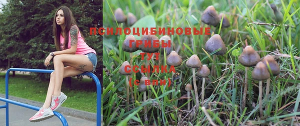 MDMA Premium VHQ Верхний Тагил